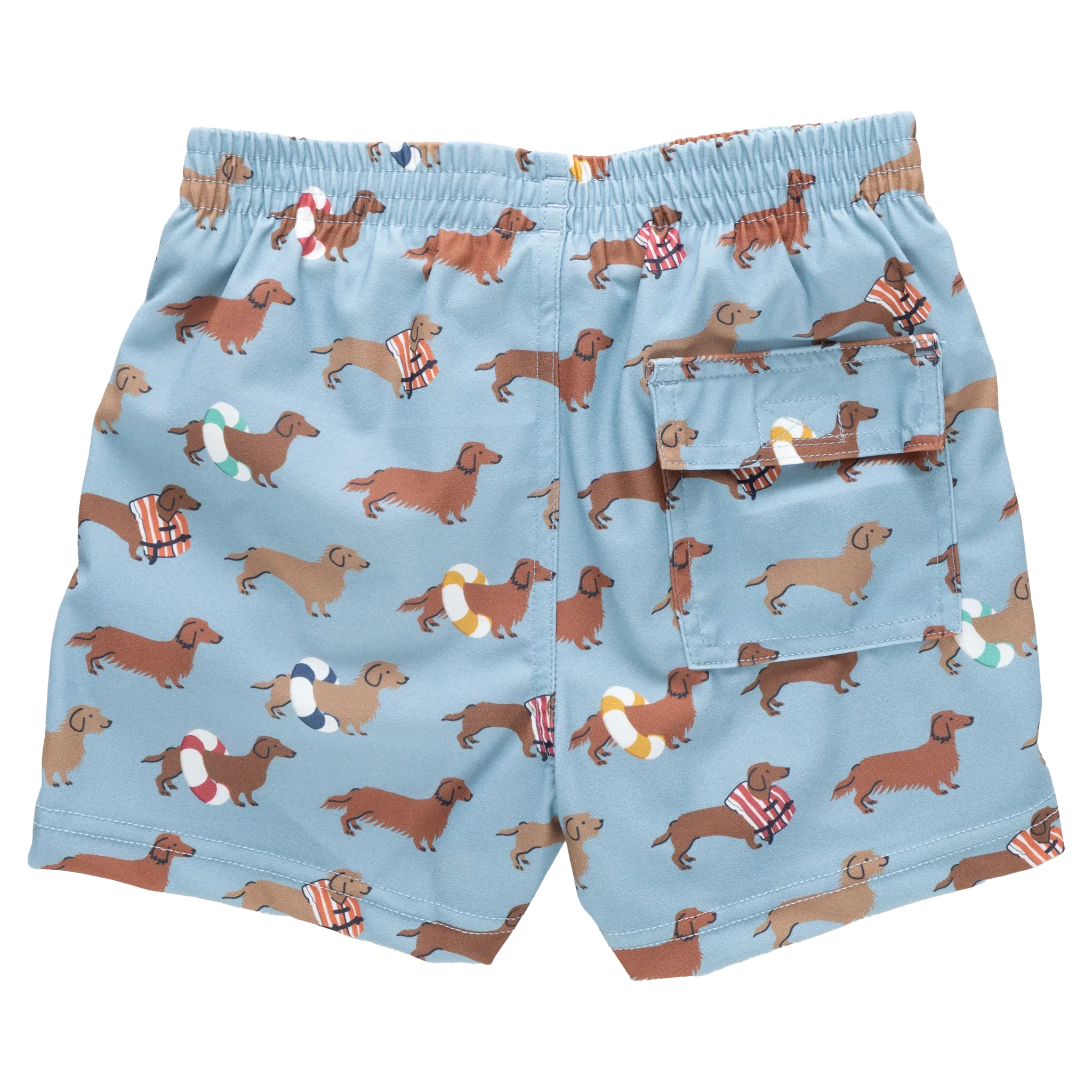 Baby Boys Swim Trunk - Swim Dachshunds - Image 4