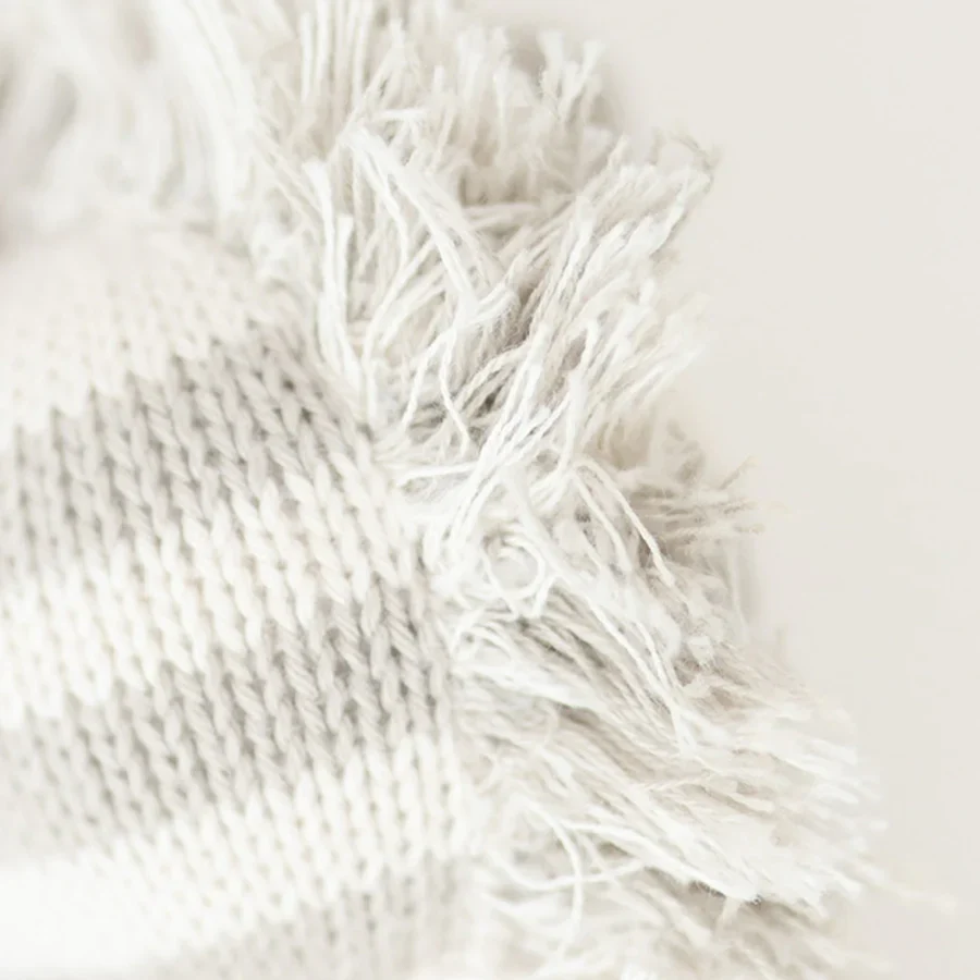 Baby Zebra - Image 3