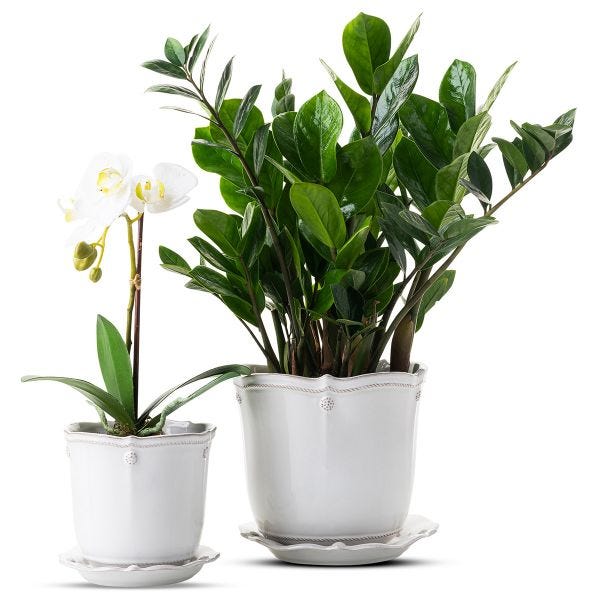 Berry & Thread 7" Planter - Whitewash - Image 4