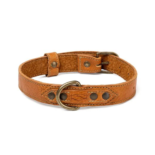 Campaign Leather Dog Collar - Image 8