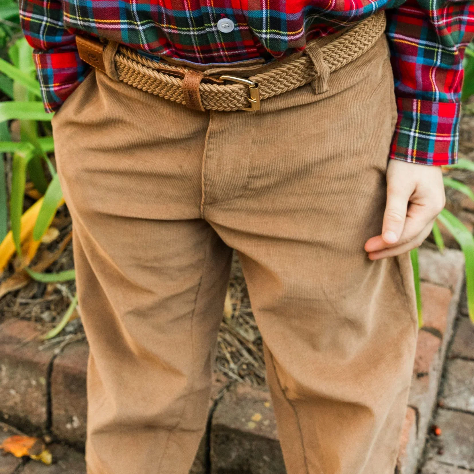 Champ Pant - Brown Corduroy - Image 3
