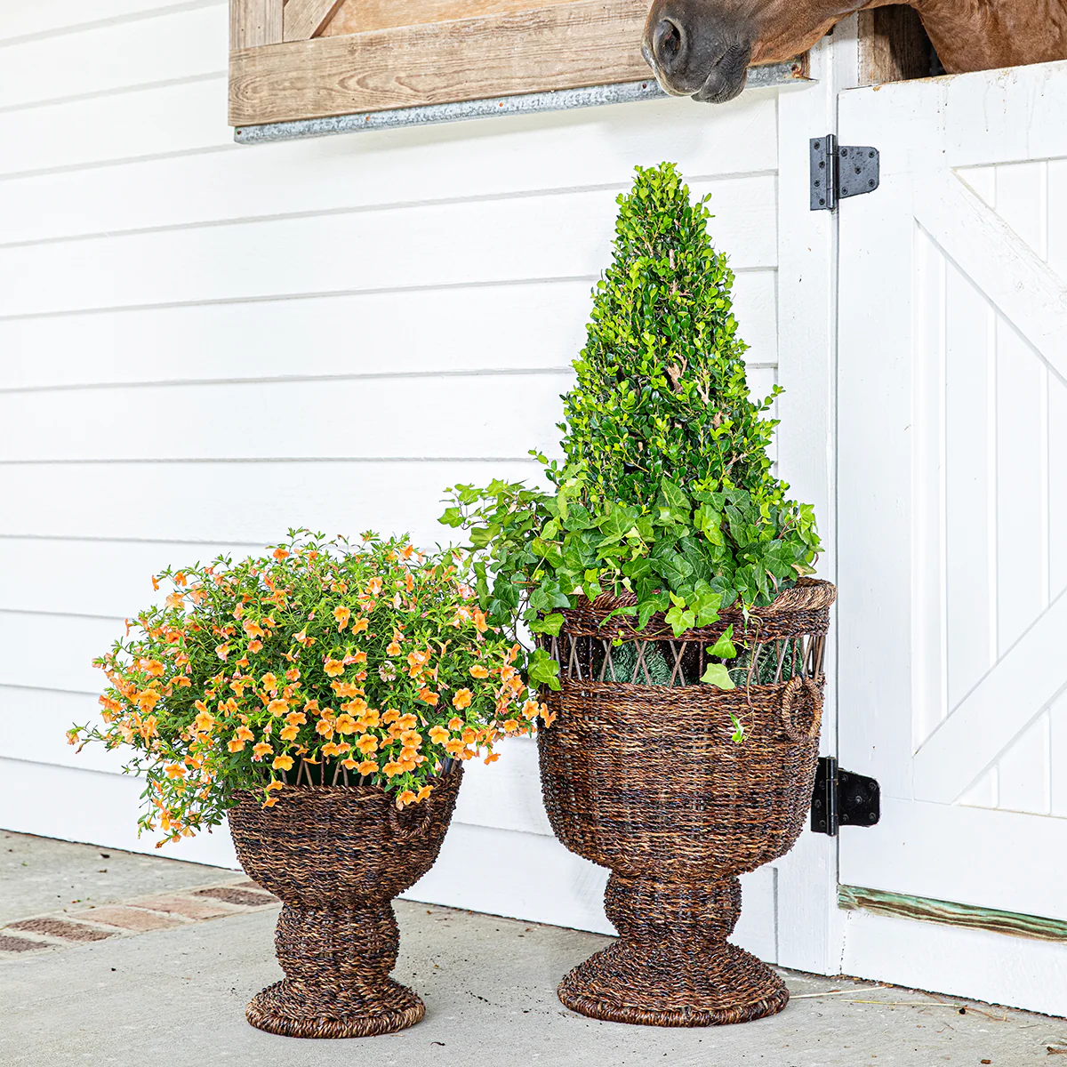 Devon Willow Large Urn - Image 5