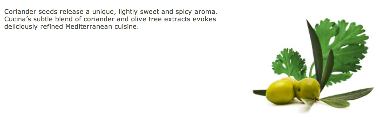 Cucina Dish Detergent - Coriander & Olive - Image 4