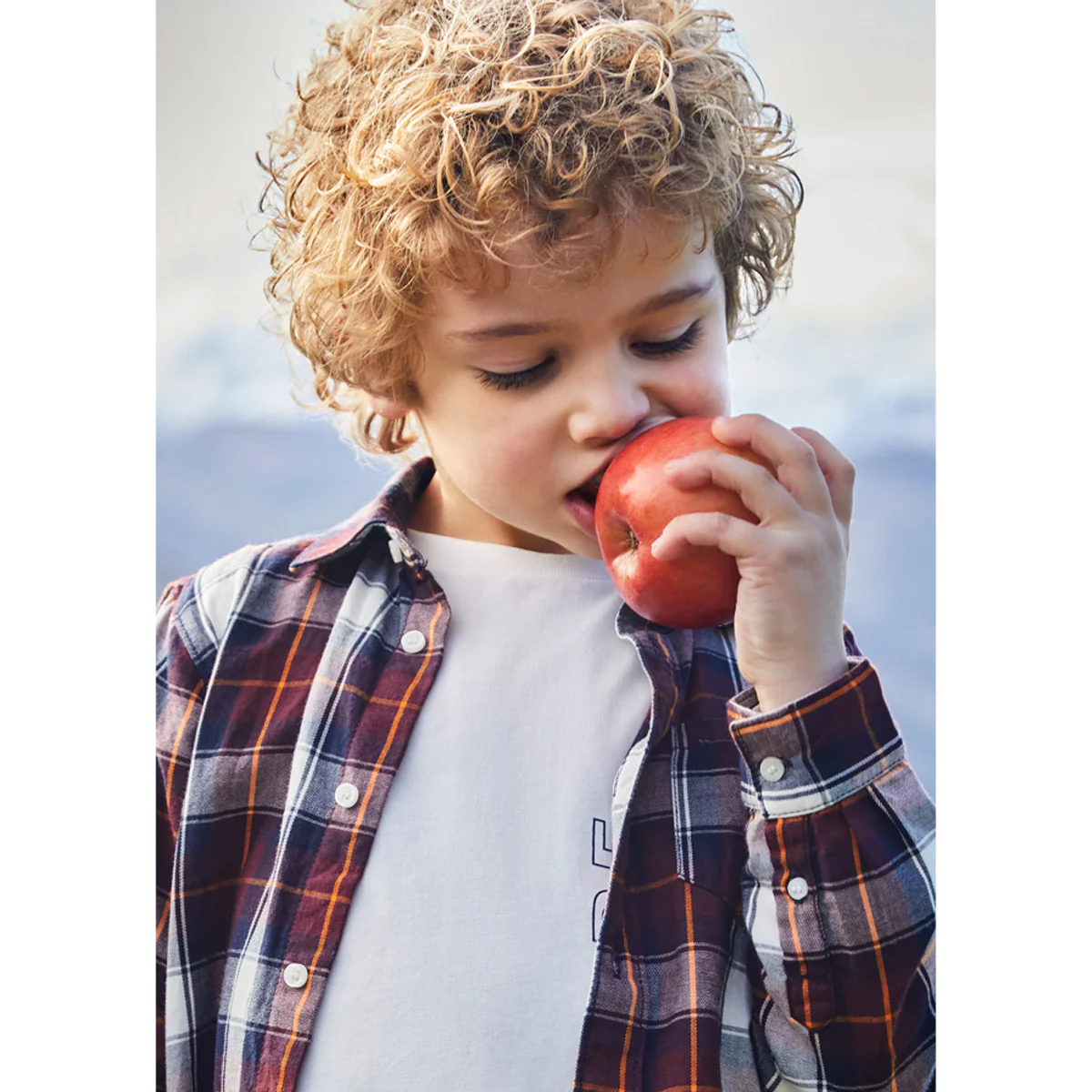 Ecofriends Plum Long Sleeve Plaid Shirt - Image 5