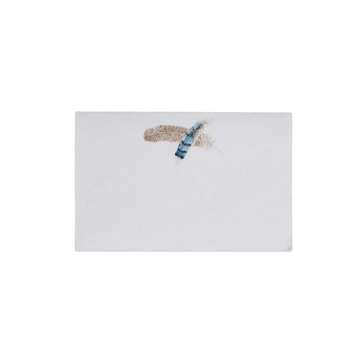 Forest Walk Place Card Assorted Set/12 - Multi - Image 6