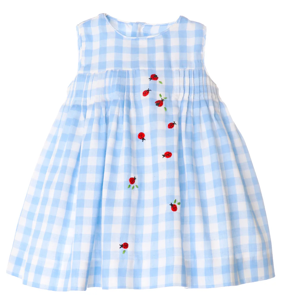 Blue & White Gingham Ladybug Lunch Dress