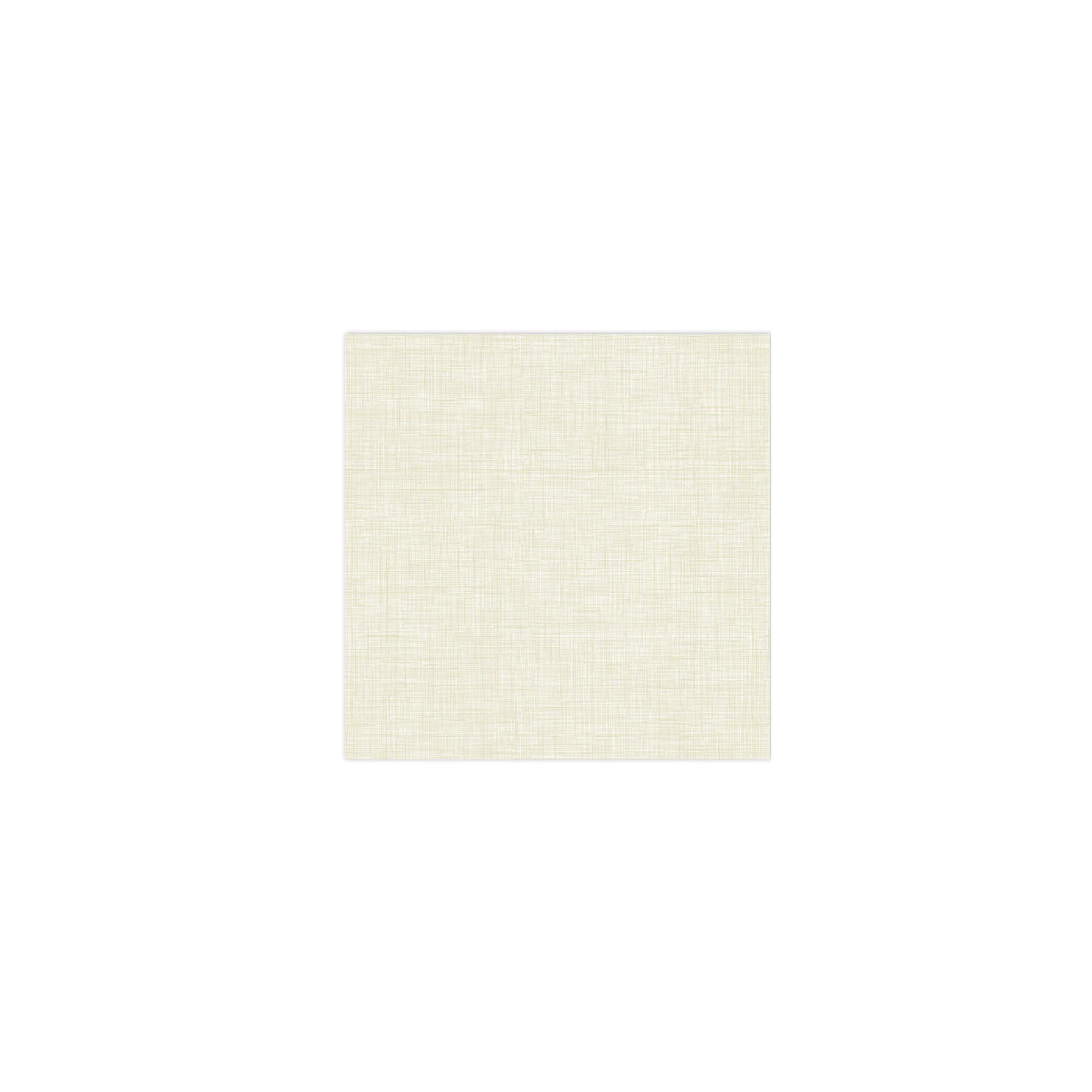 Papersoft Napkins Easy Taupe Cocktail Napkins (Pack of 20)