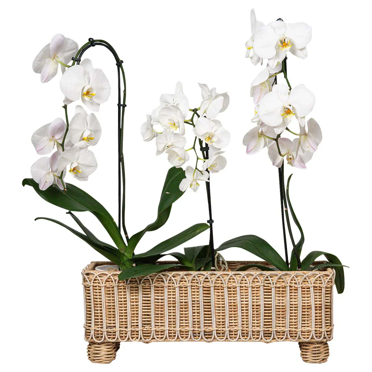 Provence Rattan Rectangular Planter - Whitewash - Image 3