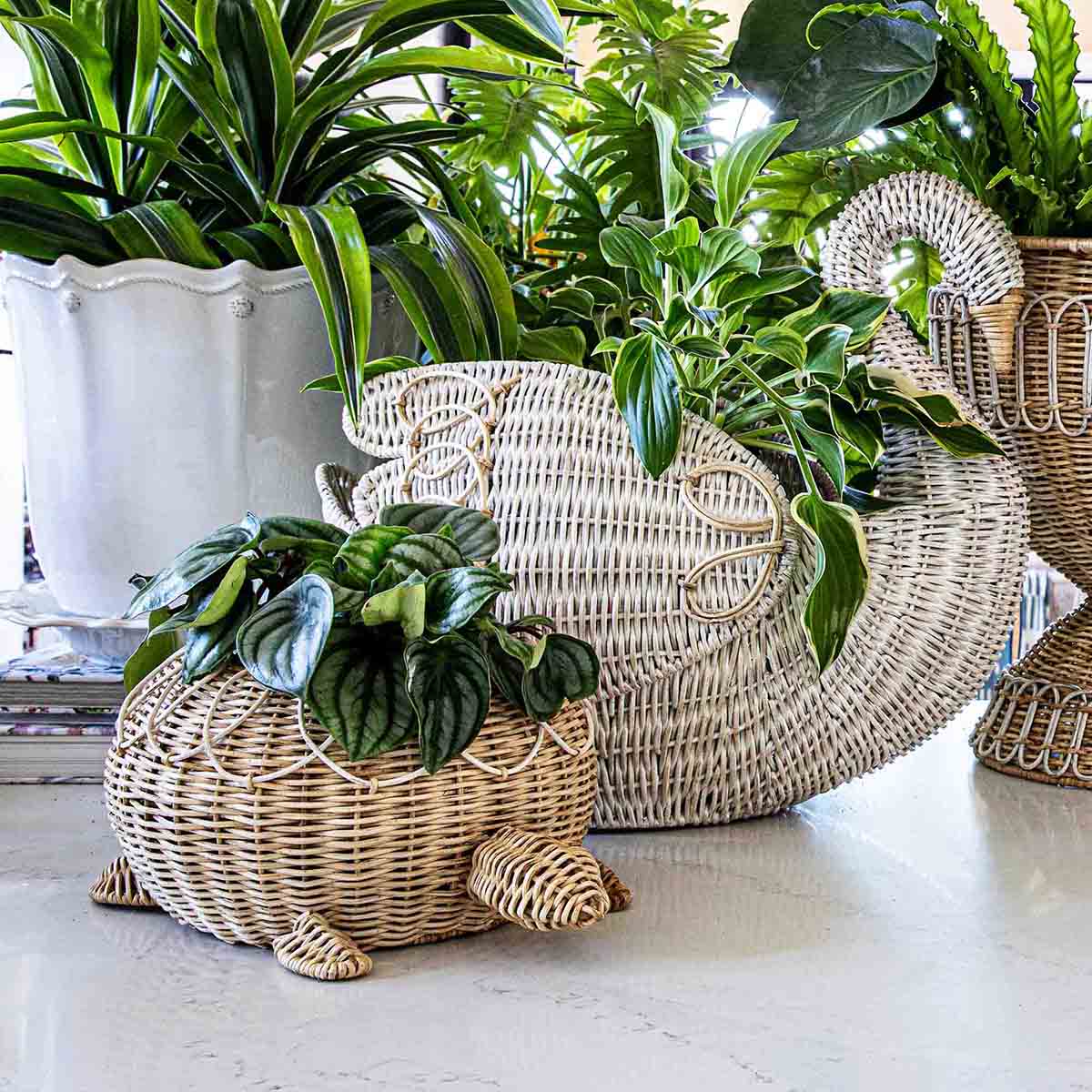 Provence Rattan Swan Basket - Whitewash - Image 5