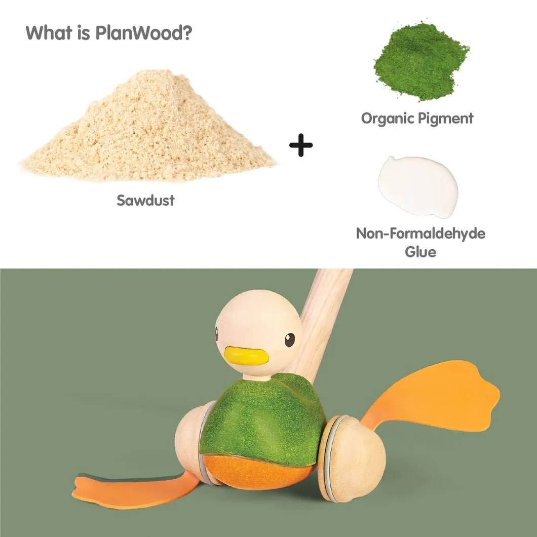 Push Along Duck - Image 6