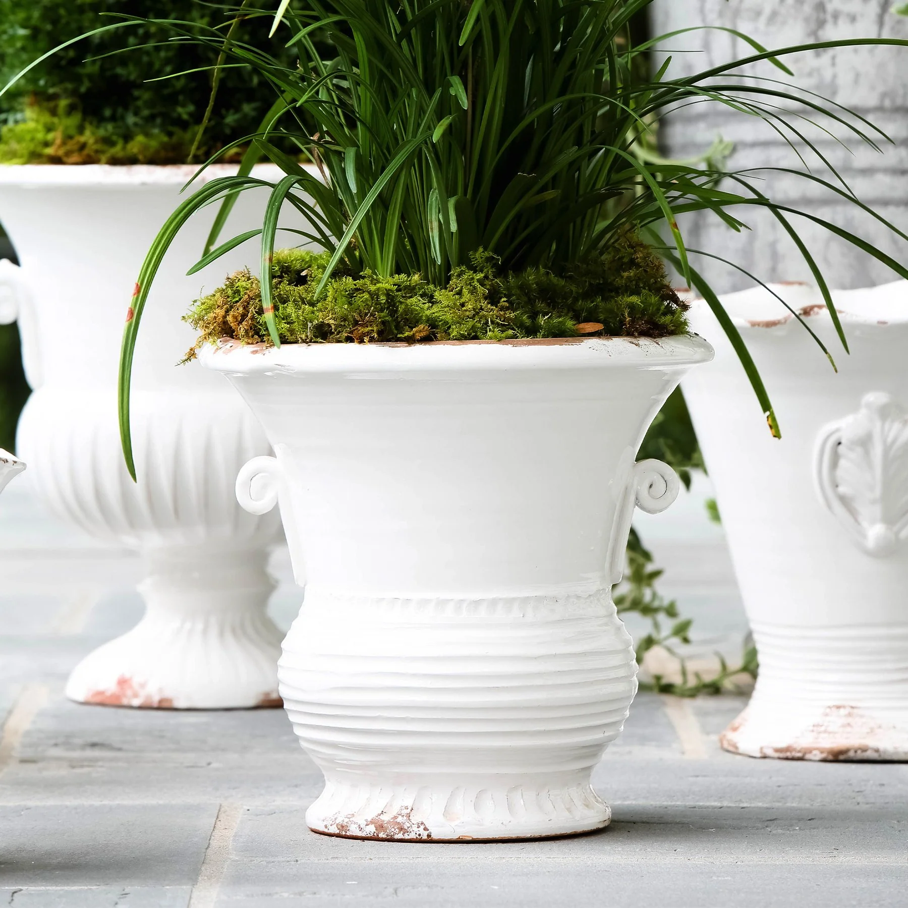 Rustic Garden White Medium Flair Planter - Image 5